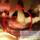 센텀메디컬센터 이미지