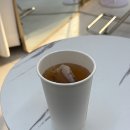 뿌리네 애견샵 | 역삼역미용실 추천, 역삼동 살롱드얼루어 염색 후기 (야간·애견동반 가능)