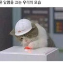 조선곱창 이미지