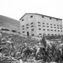 구술농장 이미지