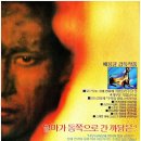 달마가 동쪽으로 간 까닭은? (1989) 이미지