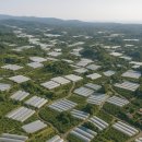 봉재농장 | 하우스 감귤 역사 완전정리｜제주 서귀포 감귤 문화·관광의 현재와 뿌리