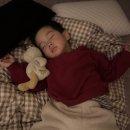 신불산 베이스캠프 오토캠핑장 이미지