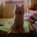 상동주공아파트 이미지