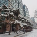 스팀청소기 추천 뮤젠 내돈내산 솔직후기임돠~