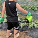 홍이네농장 이미지