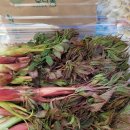 김인식농장 이미지