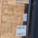 쥬니버스 네이버블로그