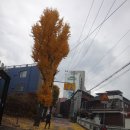 대덕탕 이미지