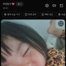 샤브보울 이미지