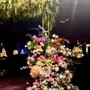 새하림각 | [결혼준비 #16. 웨딩홀 시식] 본식 약 2달 남기고 웨딩홀 시식 다녀오기! HW컨벤션 뷔페 후기 (ゝ∀･)