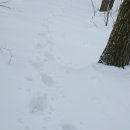 음성궁도장 이미지