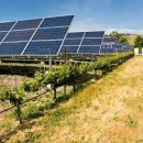 이*순태양광 이미지