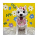 멍앤리치 이미지