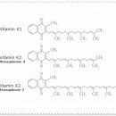 영남대학교 임상약학대학원 이미지
