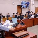 추미애 "양평 공무원 사망, 타살의혹 여부도 법무부서 관심을" 이미지