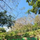 스카이빌 - 강남구 강남대로154길 36 | 스카이빌