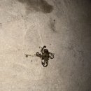 팔도민박 이미지