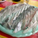보금자리회수산