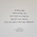 배알도카페니테오