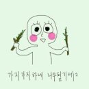 마이커피 이미지