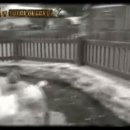 가은동물농장 이미지