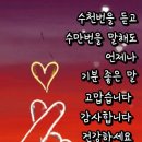 비연무예태권도 이미지