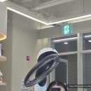 티트리헤어샵 | (솔직리뷰) 평택 블룸스테이지, 머릿결 되살아난 후기. 평택고덕헤어샵 유목민 추천