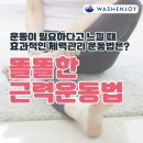 마포만물