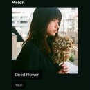 Yuuri - Dried Flower [ 감성노래 / 일본노래추천 ] 이미지