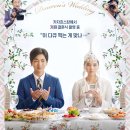 트리플힐링스토리