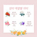 로즈데이Rose Day 이미지