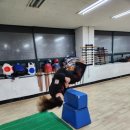 불사조 체육관 이미지