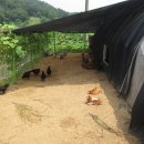 남궁농장 이미지