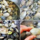 바지락칼국수 이미지