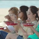 헬로두부