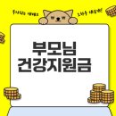 국민연금공주부여지사 화장실 | 부모님 건강지원금 160만원 신청 방법과 사용법 총정리