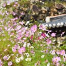 영상테마파크 주차장화장실 이미지