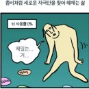 별일 없이 사는 글쌤의 여름 이야기(사진多, 말多)