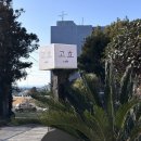 애월 고즈넉 | 고효 | 고즈넉한 한옥 분위기의 제주 애월 카페