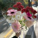 풍요속꽃향기 이미지