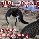 외양간 이미지