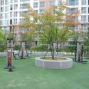 롯데캐슬탑공인중개사사무소 이미지