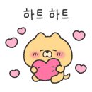해피치 애견카페 이미지