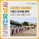 [국가유산 x 테마여행] 가을의 정취를 흠뻑 느낄 수 있는 여행지 추천! 경주 칠불암, 원주매지농악...