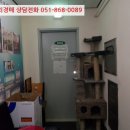 포항시북구73 이미지