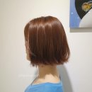하라헤어 이미지