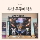 부산시민회관 현철용 마술사의 스페이스 매직쇼 우주매직쇼 예매꿀팁 및 후기