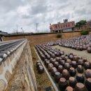 카페세라비 이미지