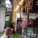 동양불교사 이미지